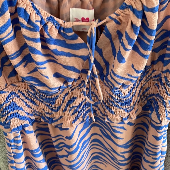 Buddy Love Dress Zebra Blue Pink Large - Picture 2 of 9